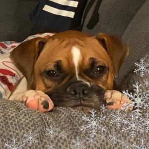 Meet your Posher, Darlene